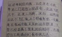 做家务的作文800字