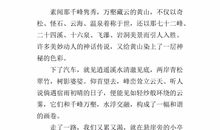 暑期见闻作文600字