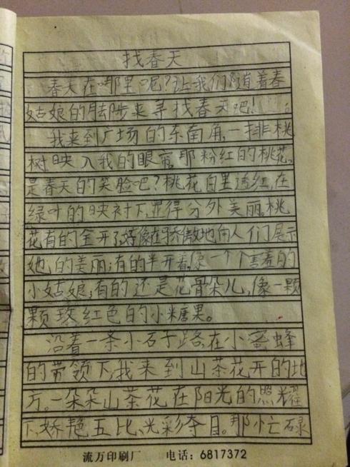 二年级日记春天在这里