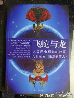 关于“声音协会”的思考