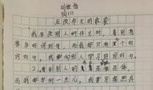 我收获了成功300字