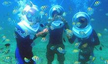 游海底世界作文