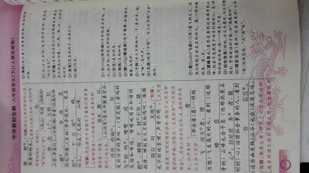 和朱元思看书之后