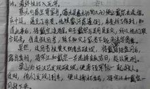 小学生写的读后感