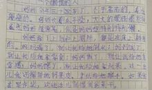 关于感动的初中作文