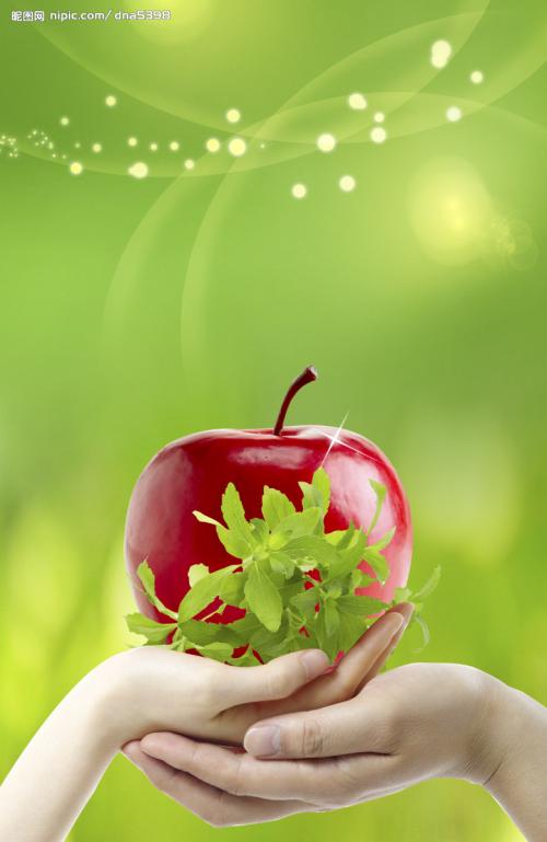 爱在你的手掌组成