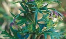 《心灵的力量》读后感