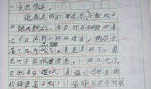 我的家乡作文500字