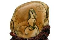 豆蔻年华读后感