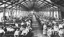 在哈金森工厂读后感