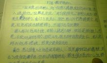 我身边的正能量作文