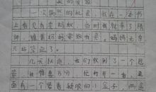 生活中的启示作文300字