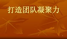 团队凝聚力读后感