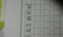 假如我是一只鸟600字