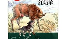 《红奶羊》读后感