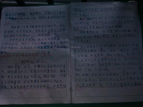 如果我有一双翅膀要写