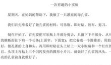 一次科学小实验作文