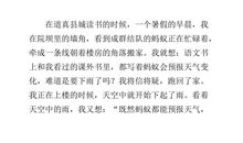 大自然启示作文600字