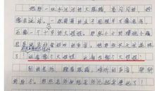 描写姐姐的作文