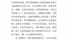 五年级作文我的校园