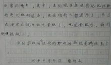 野炊作文350字