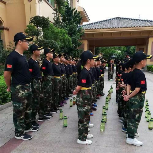 参加夏令营组成