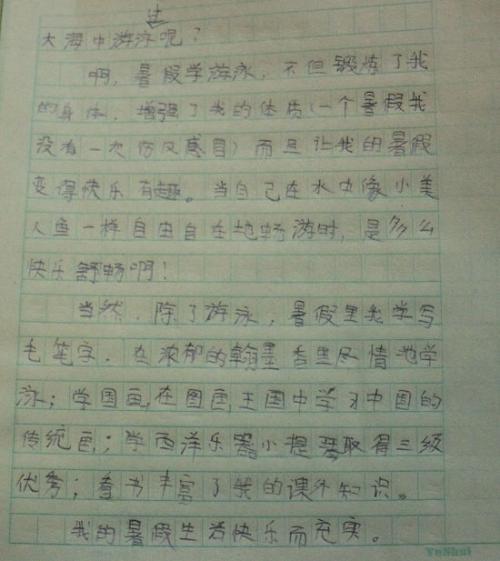 什么是家庭组成