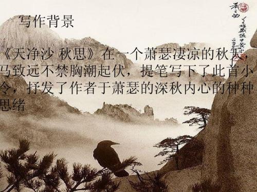 田沙秋四国写作