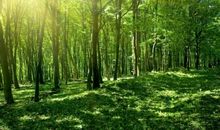 大自然给人的启示