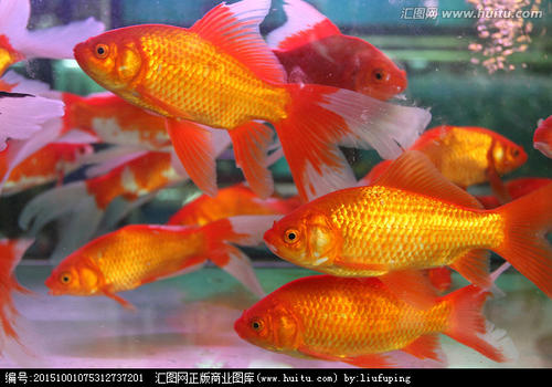 我改变了什么颜色