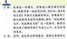 小学四年级导游词作文