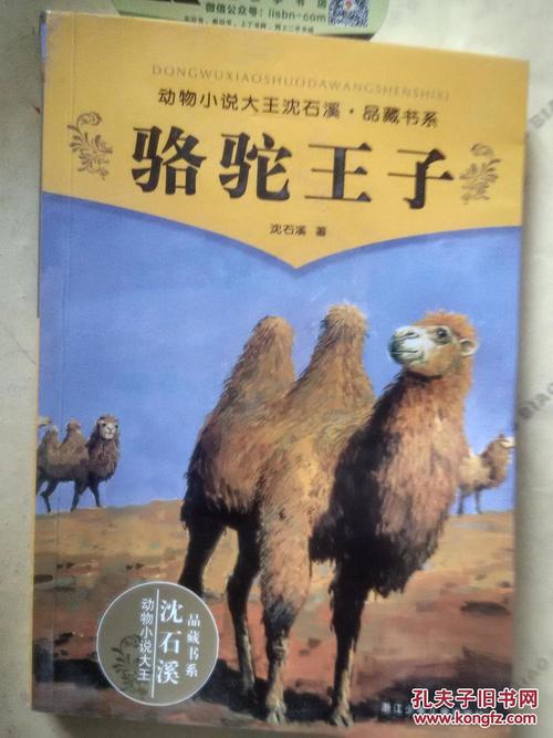 看完骆驼王子