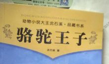 骆驼王子读后感