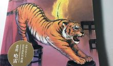 老虎哈雷读后感