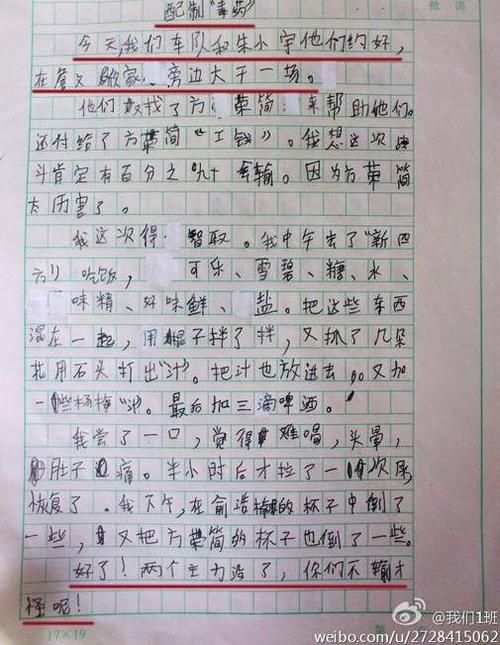 我三年级的论文