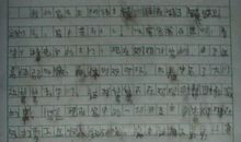 我的爸爸作文450字