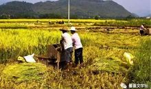 描写公园风景的作文