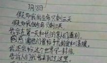 小学生作文假如我是