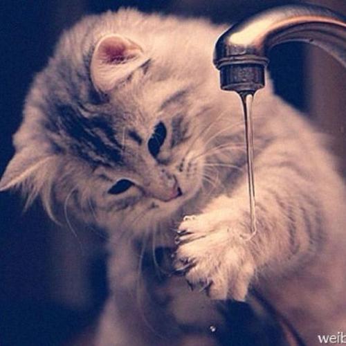 经常记得的人,他们可以走得更远