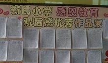 感恩教育读后感