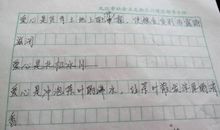 爸爸的花落了读后感