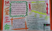 关于珍爱生命的作文