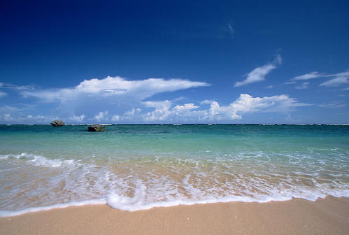 美丽的海滩组成