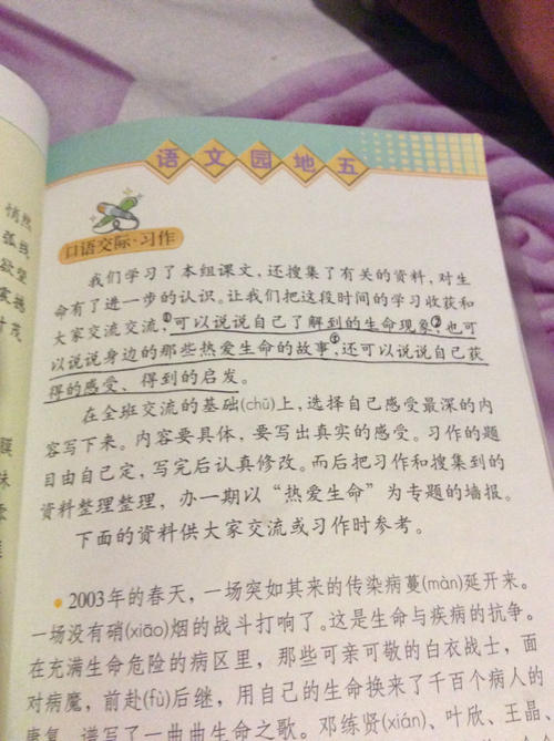 珍惜生命的构图