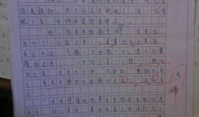 交通安全作文450字