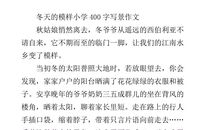 美丽的冬天作文400字