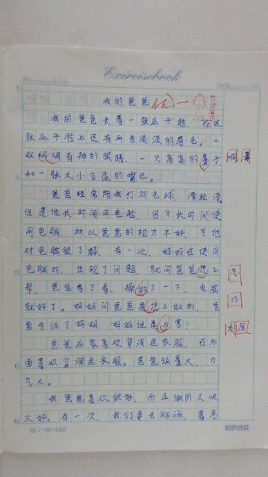 我爸爸的论文400字