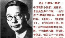 林海老舍读后感