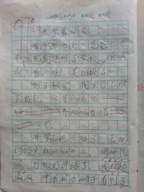 三年级作文初飞