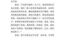 我的父亲作文300字